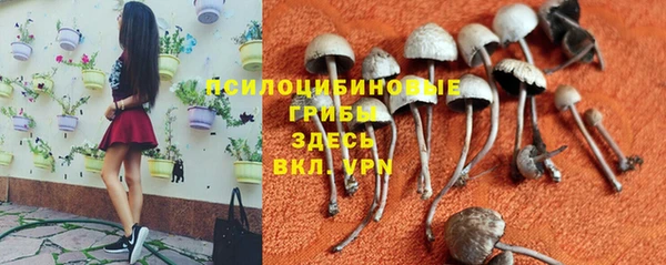 ALPHA-PVP Бугульма