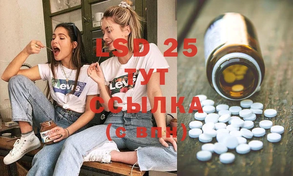 шишки Володарск